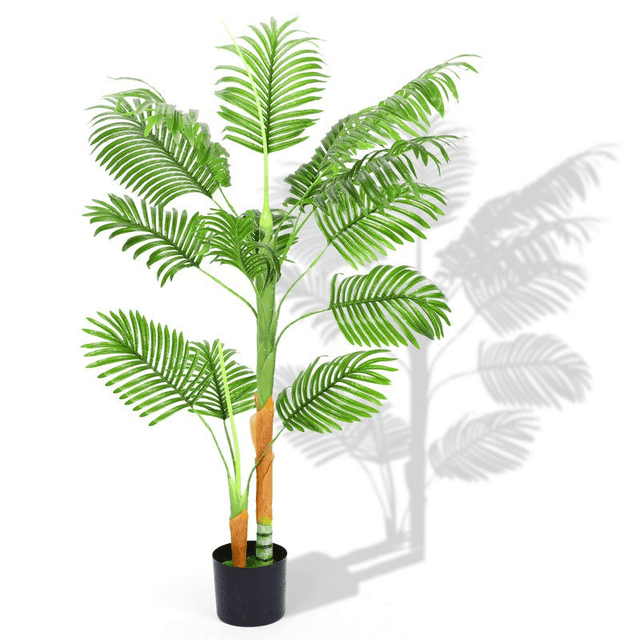 Tropical Plants