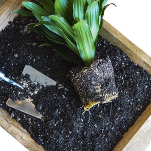 Indoor Plant Potting Soil - Puck
