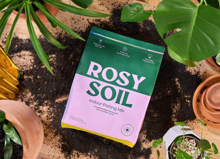 Rosy Indoor Potting Soil