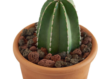 Mixed Lava Rocks - 15 oz