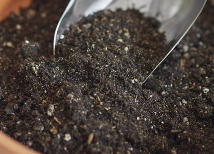 Indoor Plant Potting Soil - Puck