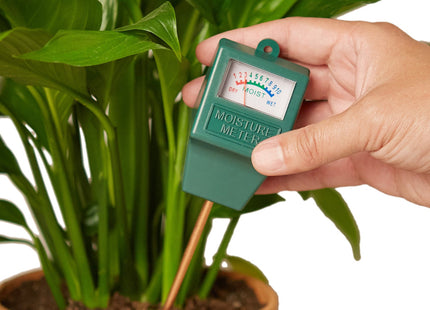 Moisture Meter