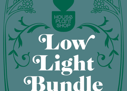 Low Light Bundle