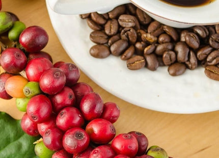 Arabica Coffee