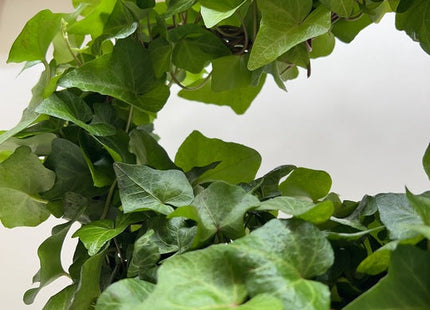 Ivy Green Topiary Heart