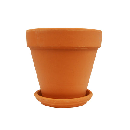 Terra Cotta Planters