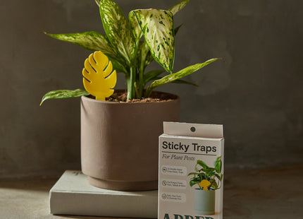 Sticky Traps for Plant Pests