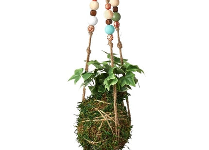 Bead Kokedama Moss Ball Hanging Plant