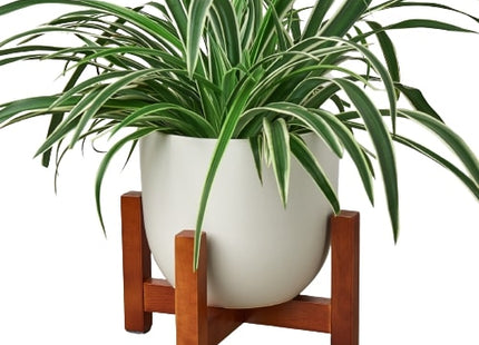 Ceramic Contour Pot with Wood Stand - 7 Inch