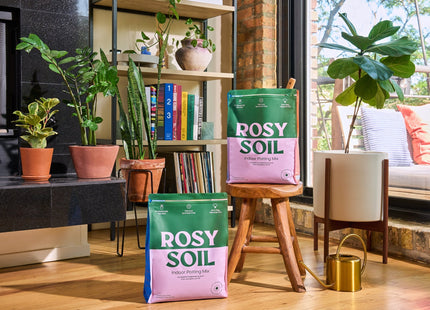 Rosy Indoor Potting Soil