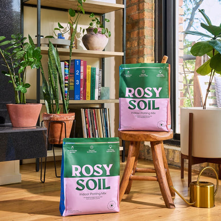 Rosy Indoor Potting Soil