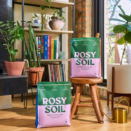Rosy Indoor Potting Soil