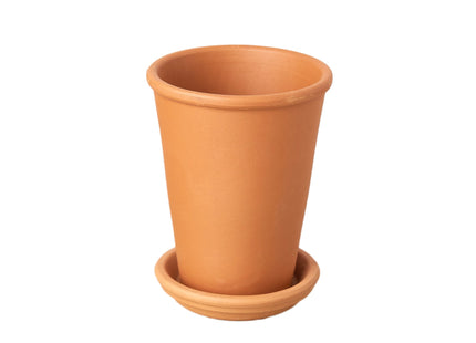 New Plant Parent Bundle
