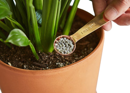 Pellet Fertilizer/Indoor House Plant Food - Small