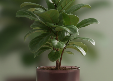 Example product