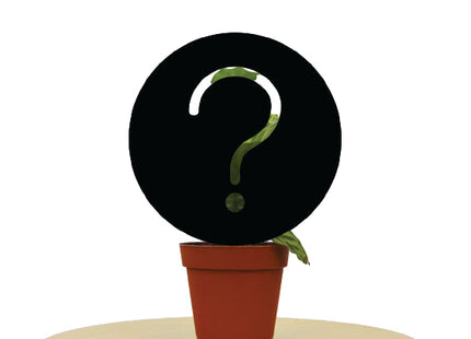 Mystery House Plant B-Grade