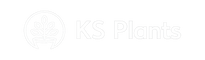 WS Store, LLC