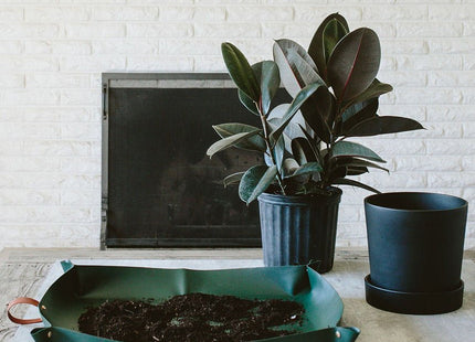 Repotting Mat - Arber